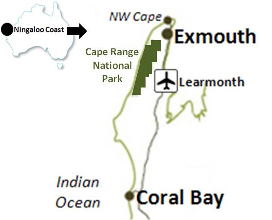 Cape Range NP y Ningaloo Reef -Costa Occidental Australia - Foro Oceanía